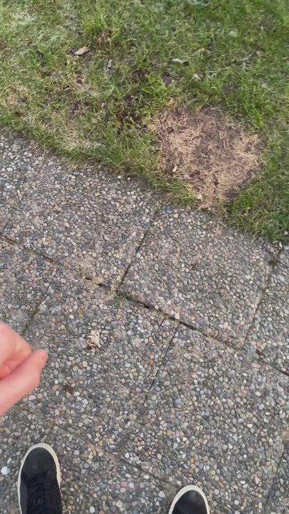 Sprite GMT Watch Mod